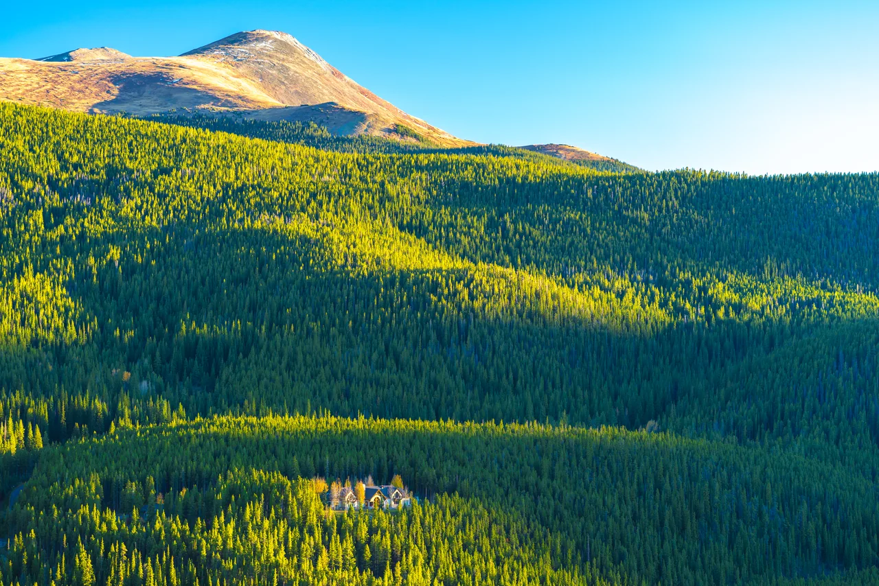 Sunlit mountain ridge above a dense evergreen forest in the Boreas Pass area.